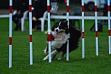 Royal Canin Masters 2025 geldrop