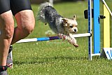 UDEN MAANDAG