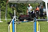 UDEN MAANDAG
