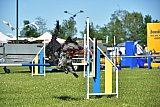 UDEN MAANDAG