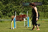 UDEN MAANDAG
