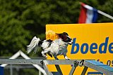 UDEN MAANDAG