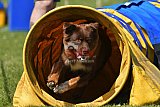 UDEN ZONDAG