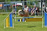 UDEN ZONDAG