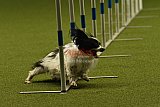 W.K. selectie hoogerheide zaterdag