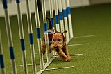 W.K. selectie hoogerheide zaterdag