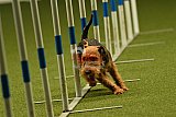 W.K. selectie hoogerheide zaterdag