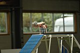 W.K. selectie hoogerheide zaterdag