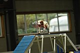 W.K. selectie hoogerheide zaterdag