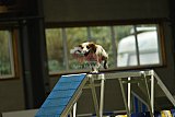 W.K. selectie hoogerheide zaterdag