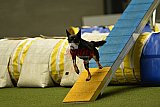 W.K. selectie hoogerheide zaterdag