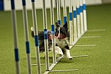 W.K. selectie hoogerheide zaterdag