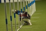 W.K. selectie hoogerheide zaterdag