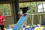 W.K. selectie hoogerheide zaterdag
