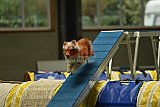 W.K. selectie hoogerheide zaterdag