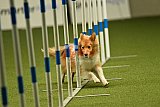 W.K. selectie hoogerheide zaterdag