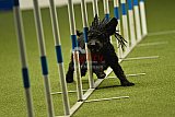 W.K. selectie hoogerheide zaterdag