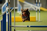 W.K. selectie hoogerheide zaterdag