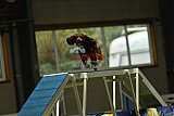 W.K. selectie hoogerheide zaterdag
