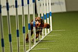 W.K. selectie hoogerheide zaterdag