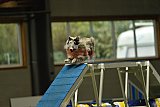 W.K. selectie hoogerheide zaterdag