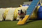 W.K. selectie hoogerheide zaterdag