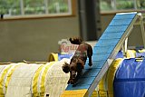 W.K. selectie hoogerheide zaterdag