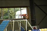 W.K. selectie hoogerheide zaterdag