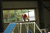 W.K. selectie hoogerheide zaterdag