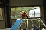 W.K. selectie hoogerheide zaterdag