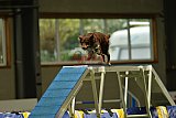 W.K. selectie hoogerheide zaterdag
