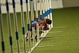 W.K. selectie hoogerheide zaterdag
