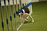W.K. selectie hoogerheide zaterdag