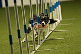 W.K. selectie hoogerheide zaterdag
