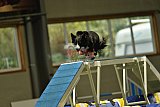 W.K. selectie hoogerheide zaterdag