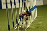 W.K. selectie hoogerheide zaterdag