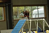 W.K. selectie hoogerheide zaterdag