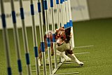 W.K. selectie hoogerheide zaterdag