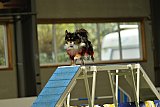 W.K. selectie hoogerheide zaterdag