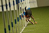 W.K. selectie hoogerheide zaterdag
