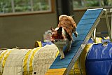 W.K. selectie hoogerheide zaterdag