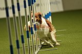 W.K. selectie hoogerheide zaterdag