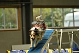 W.K. selectie hoogerheide zaterdag