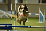 W.K. selectie hoogerheide zaterdag