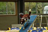 W.K. selectie hoogerheide zaterdag