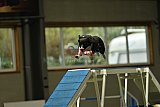 W.K. selectie hoogerheide zaterdag