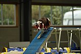 W.K. selectie hoogerheide zaterdag