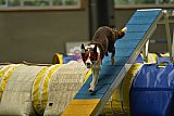 W.K. selectie hoogerheide zaterdag