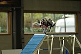 W.K. selectie hoogerheide zaterdag