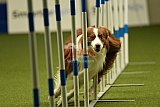 W.K. selectie hoogerheide zaterdag